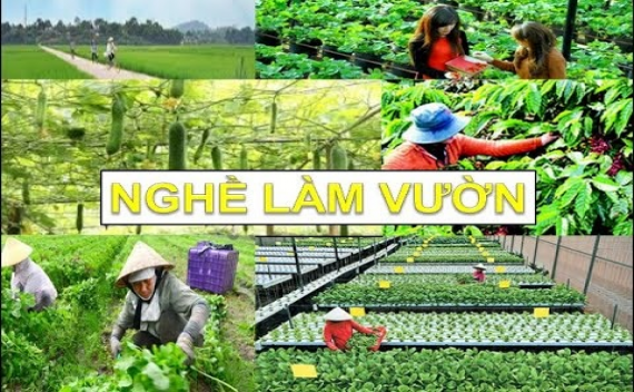 Sử dụng áo điều hoà cho nghề làm vườn có thực sự tốt không?
